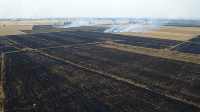 収穫後に稲わらを燃やすと、山火事につながりやすい。