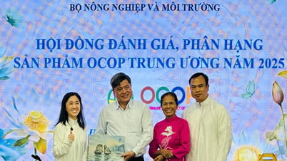 Trà biển Quảng Ninh khẳng định vị thế OCOP