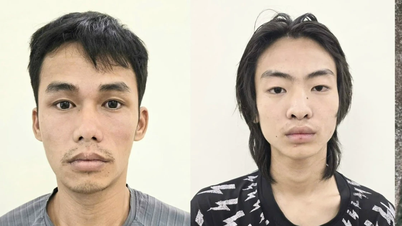 Myndighetene i Tuyen Quang arresterte to mistenkte for å ha stjålet elektriske ledninger fra transformatorstasjoner.