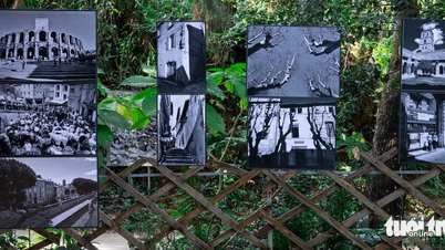 Hanoi Biennale đến Đà Lạt trong triển lãm 'Ký ức các thành phố'