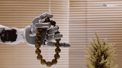 La mano robótica Revo 3 inaugura una nueva era de interacción cerebro-máquina.