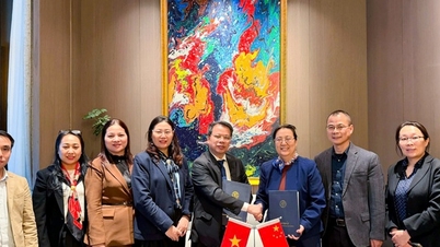 The Vietnam Academy of Traditional Medicine is strengthening international cooperation in training and research in traditional medicine.