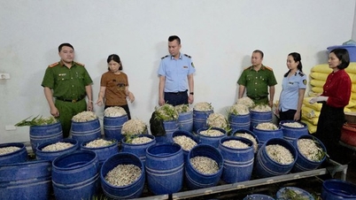 Quang Ninh: İlçe/bölge Halk Komitelerinin başkanları, kendi bölgelerindeki gıda güvenliğinden tamamen sorumludur.