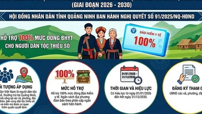 Quang Ninh, 2026-2030 dönemi boyunca etnik azınlıkların sağlık sigortası primlerinin %100'ünü karşılayacak.