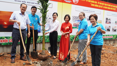 La ciudad de Ho Chi Minh exige que se rindan cuentas por cada planta.