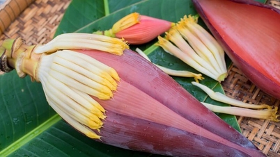 5 medicinal dishes made from banana blossoms.