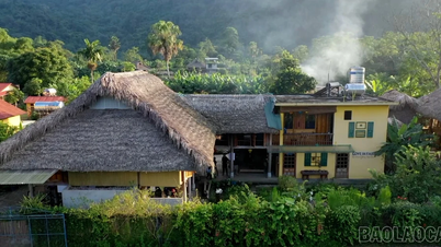 হোমস্টে সংস্কৃতির গল্প বলে।