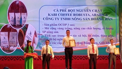 Enhancing the value of KABI OCOP 3-star coffee products.