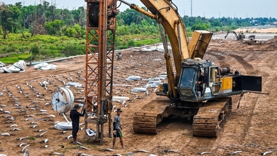 Las autoridades están acelerando los trabajos de saneamiento del suelo en el tramo occidental de la carretera de circunvalación 3 de Ciudad Ho Chi Minh, tras las observaciones del periódico Tuoi Tre.