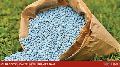 Khủng hoảng kép đẩy giá phân bón châu Âu leo thang