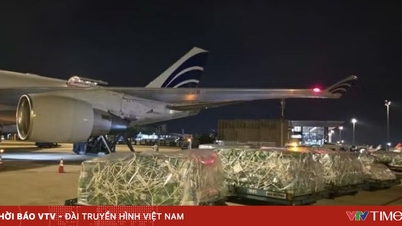 Nearly 100 tons of fresh fruits and vegetables were transported from Vietnam to the UAE by air.
