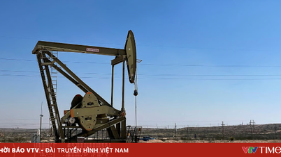 The crude oil market has lost over $50 billion after nearly 50 days of conflict.