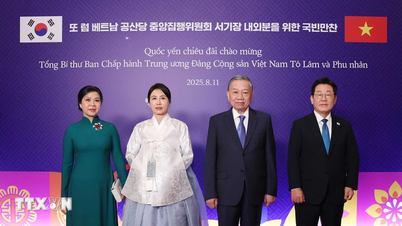 Meningkatkan Kemitraan Strategis Komprehensif antara Vietnam dan Korea Selatan