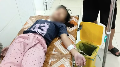 Myndighetene har bedt om en etterforskning av saken der over 20 personer er innlagt på sykehus mistenkt for matforgiftning fra brød i Nghe An.