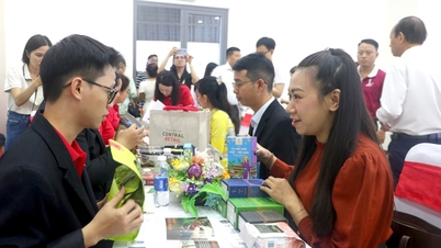 គាំទ្រដល់អាជីវកម្មនានានៅទីក្រុងដាណាំងក្នុងការពង្រីកទីផ្សារអ្នកប្រើប្រាស់របស់ពួកគេ។