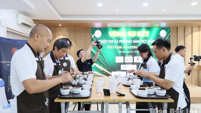 ตัวอย่างกาแฟ 164 ตัวอย่างผ่านเข้ารอบแรกของการประกวดกาแฟพิเศษแห่งเวียดนามประจำปี 2026