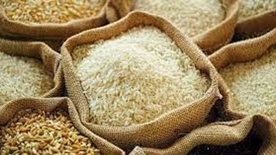 Harga beras hari ini, 16 April: Pasar tetap stabil, beras ekspor mencapai $465 per ton.