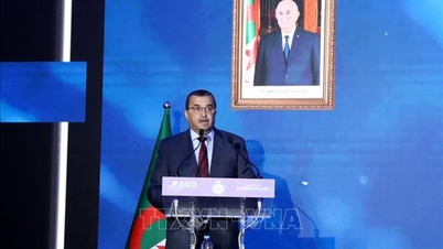 Vietnam participates in international bidding for oil and gas exploration in Algeria.