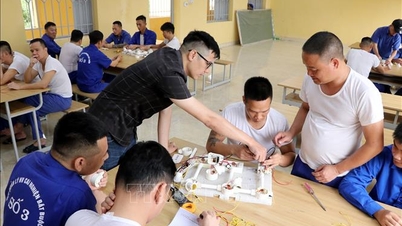Job placement and loan assistance for students after drug rehabilitation.