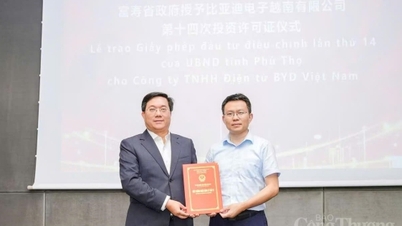 Chinese businesses increase investment capital by nearly $500 million in Phu Tho province.