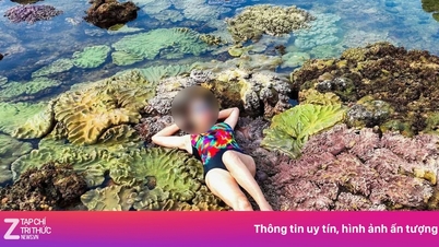 ¿Es cierto que los turistas se tumban o se sientan sobre los corales para sacarse fotos en Dak Lak?