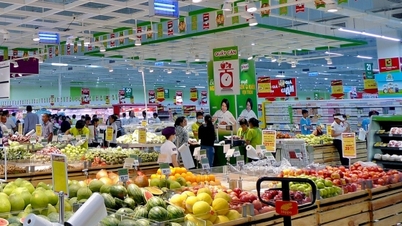 Öka konsumenternas efterfrågan och utveckla den inhemska marknaden.