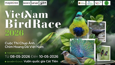 Auftaktveranstaltung für den internationalen Fotowettbewerb Vietnam BirdRace 2026.