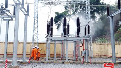 Son La Power Company przeprowadza ćwiczenia w zakresie zapobiegania katastrofom i reagowania kryzysowego.