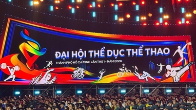 Opening Ceremony of the Ho Chi Minh City Sports Festival: The Flame of Sports Spreads to Wards and Communes