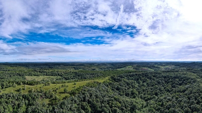 Lam Dong se centra en el desarrollo forestal sostenible.