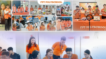 دانش‌آموزان پس از کلاس نهم باید چه چیزهایی بخوانند؟ مدرسه‌ی FPT PolySchool و برنامه‌ی یادگیری سریع و ورود زودهنگام آن، توجه زیادی از والدین را به خود جلب کرده است.