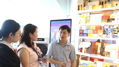 Completa el proyecto "Hecho en Da Nang".