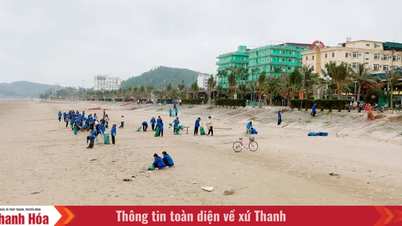 El distrito de Tĩnh Gia pone en marcha una campaña integral de limpieza ambiental en la zona turística de la playa de Hải Hòa.