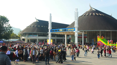 ក្តីបារម្ភអំពីឡាវបាវ