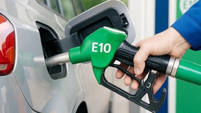E10 پٹرول کو بڑے پیمانے پر استعمال کرتے وقت کن چیزوں پر غور کیا جانا چاہئے؟