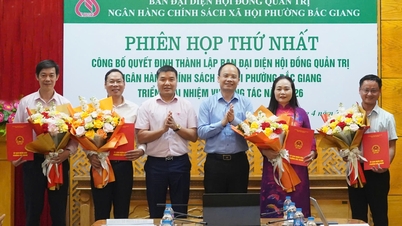 ឃុំ និងសង្កាត់ចំនួន ១០០% បានបង្កើតក្រុមប្រឹក្សាភិបាលតំណាងនៃក្រុមប្រឹក្សាភិបាលនៃធនាគារគោលនយោបាយសង្គម។