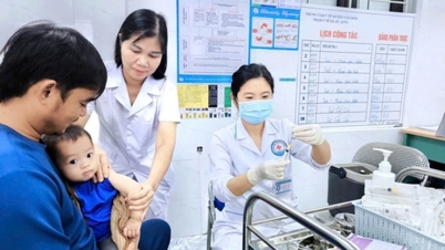 Vacciner – en ”sköld” som skyddar folkhälsan.