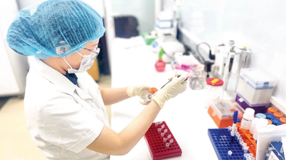 Many new points regarding forensic examination.