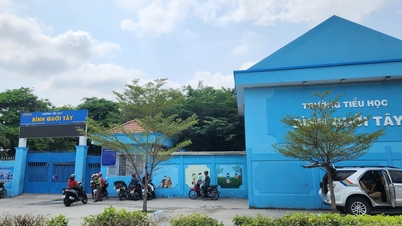 Preliminary findings of the food poisoning investigation at Binh Quoi Tay Primary School.
