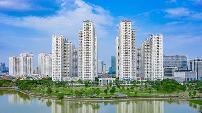 An Binh Homeland: Hvorfor opprettholder et prosjekt i Vest-Hanoi sin popularitet midt i en periode med sterk markedskonsolidering?