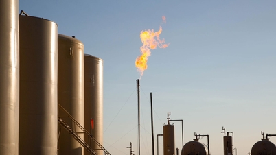 20 Nisan 2026 tarihli doğalgaz fiyatları: En yüksek fiyat 695.500 VND/12 kg tüp.