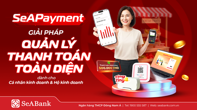 SeABank launches SeAPayment - a payment management platform that helps shop owners control cash flow in real time.