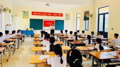 Les enseignants du collège qui supervisent et notent les devoirs des élèves de CM2 : lien ou intervention ?