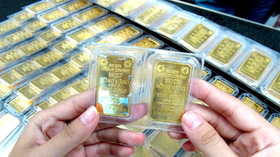 2026年4月20日の金価格：「方向転換」し、急落。