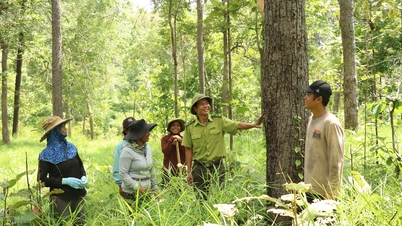 Mat och kläder... från skogen