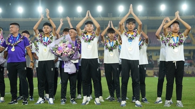 Hanoi completes the championship puzzle, suggesting this for Vietnamese football.