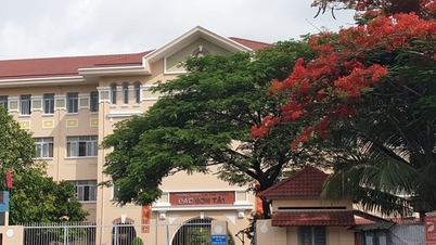 SENASTE NYTT: Många skolor i Ho Chi Minh-staden utfärdar brådskande varningar om bedrägerier som involverar "garanterad antagning" och "direktinskrivning" under läsåret.