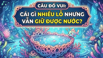 מה יש בו הרבה חורים אבל עדיין שומר על מים?