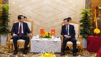 Be Thanh Tinh, a Tartományi Pártbizottság titkárhelyettese udvariassági találkozón fogadja a vietnami kínai nagykövetet.
