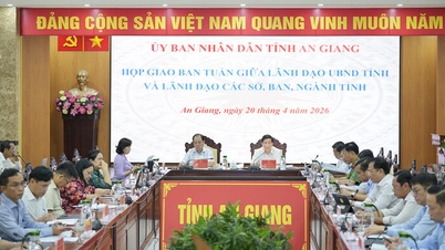Se están realizando los preparativos para anunciar la revisión de la planificación y promover la inversión en la provincia de An Giang.